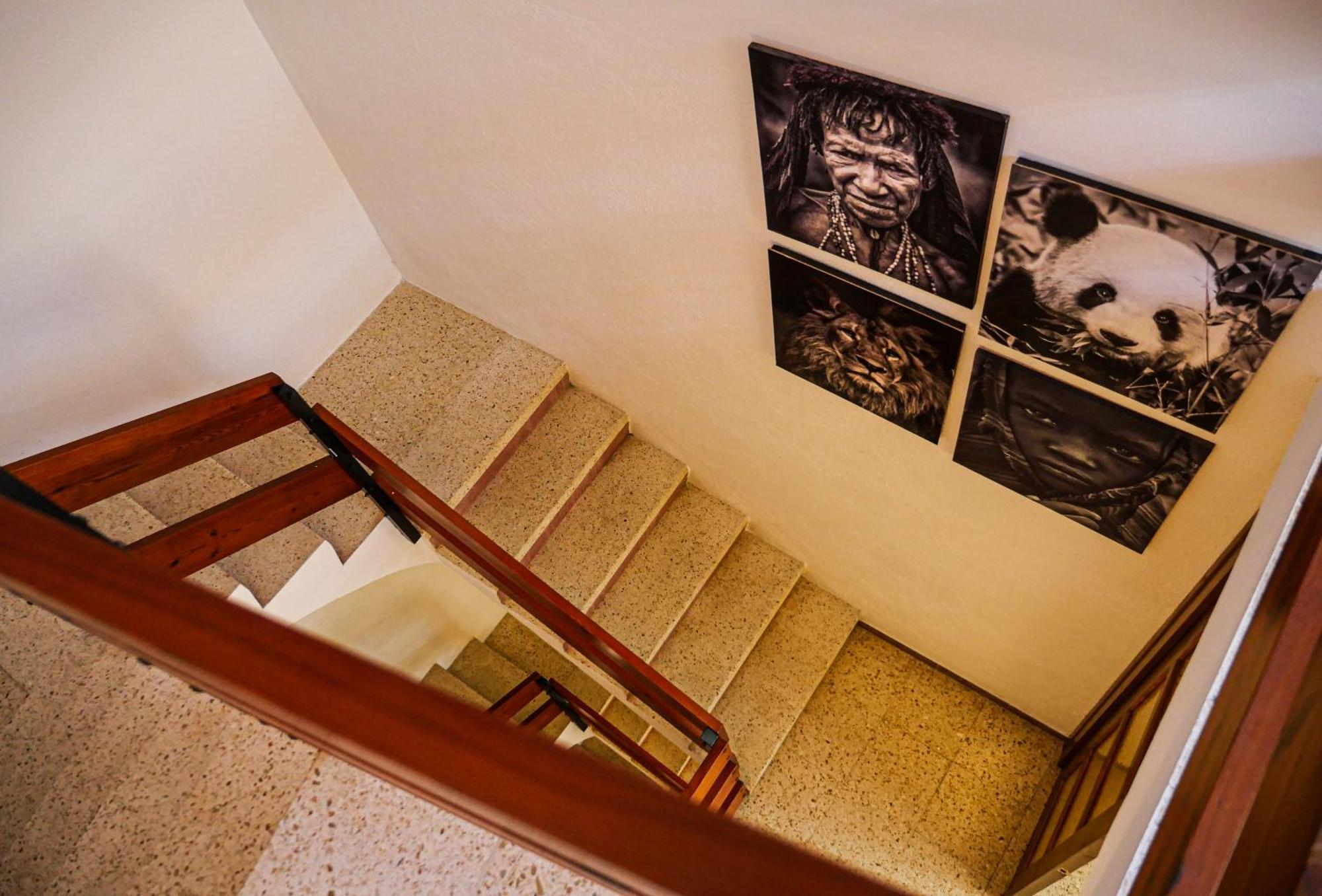 L'Amagatall De Talarn, Casa Per A Compartir Kültér fotó